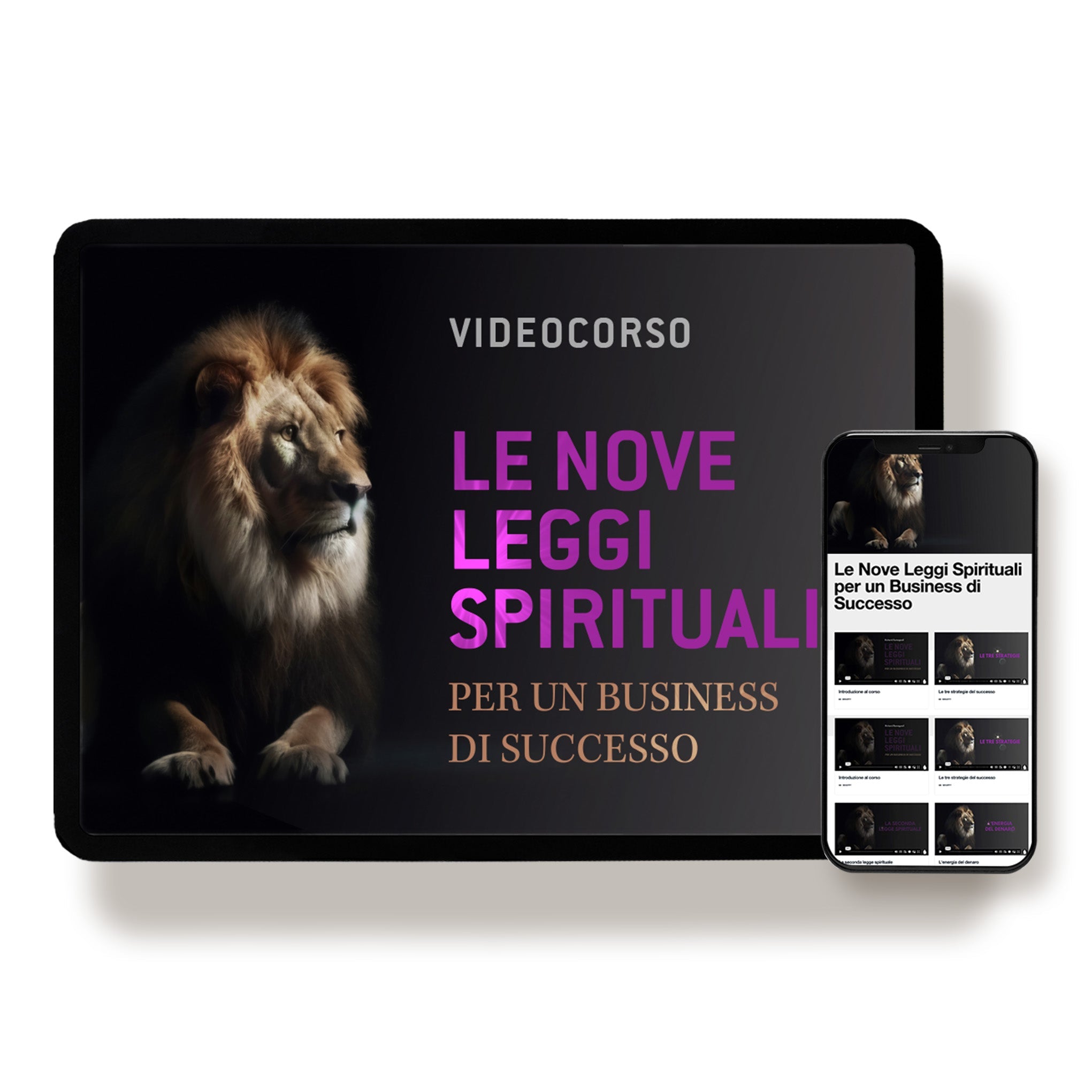 Le 9 leggi spirituali per un business di successo - Video Corso
