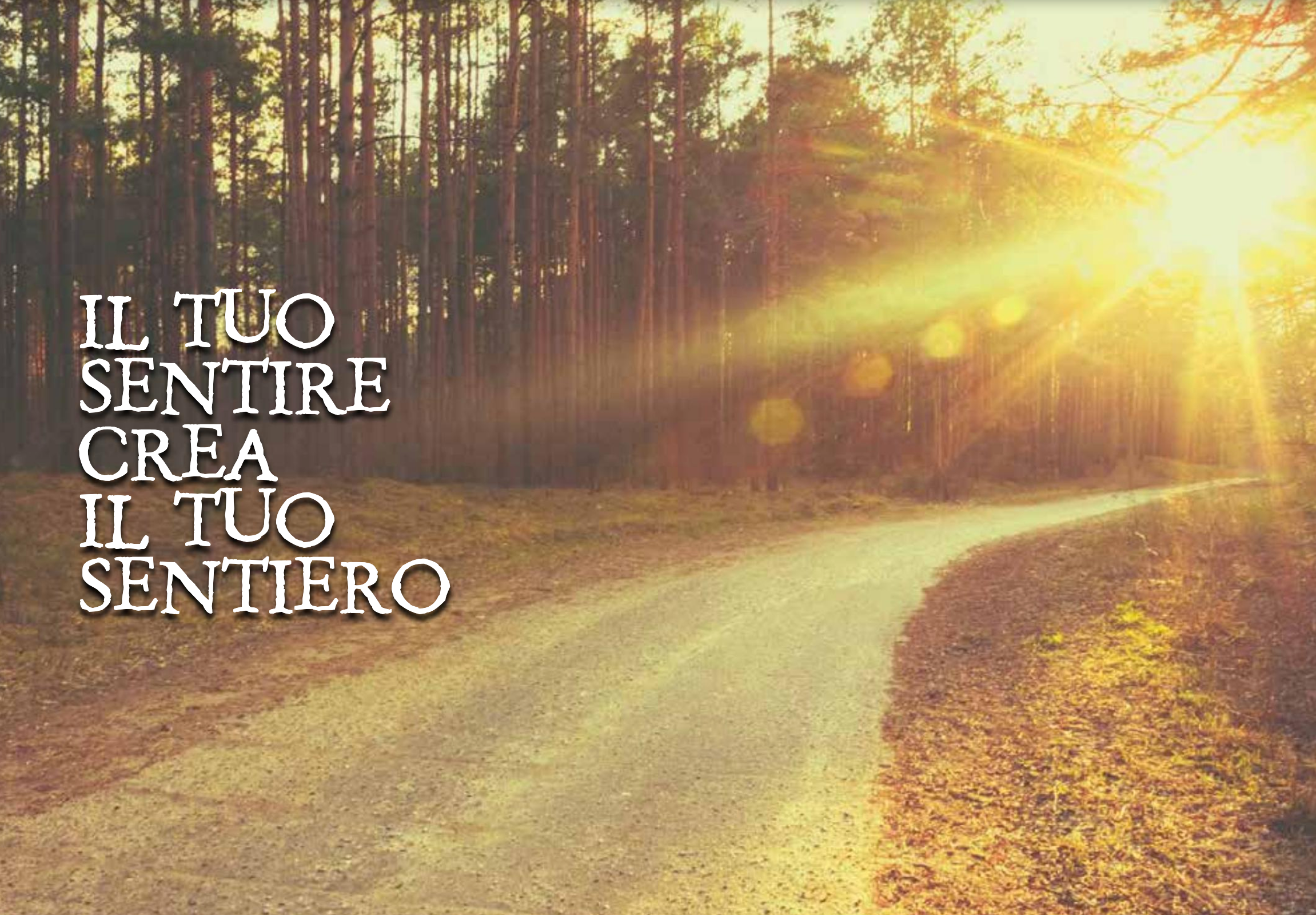 Essenze di Felicità